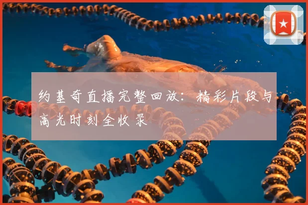 约基奇直播完整回放:精彩片段与高光时刻全收录
